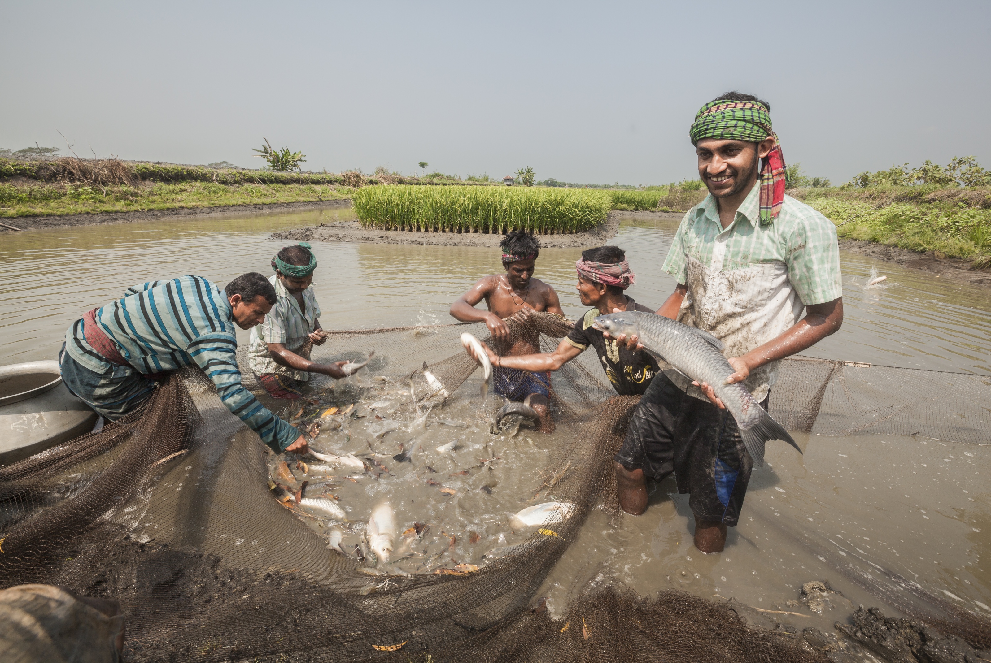 イヌイットの食糧安全保障を脅かすロケットの残骸 Nereus Program The Nippon Foundation