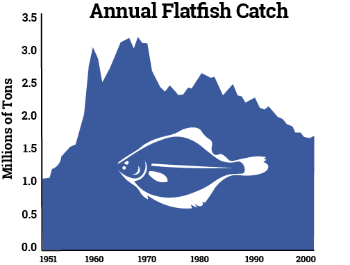 気候変動によりカレイ目魚類の漁獲量が2100年までに 減少 Nereus Program The Nippon Foundation
