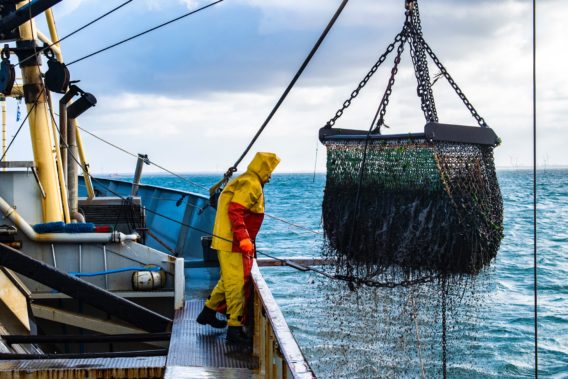 A California battle over swordfish - and gill nets - Capitol